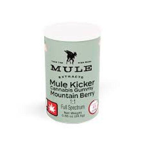 Mule 1:1 100mg Kicker: Mountain Berry