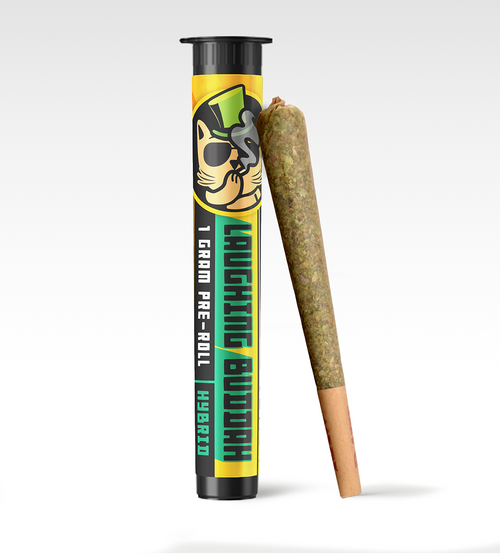 weed cigarette rolling supplies in santa fe nm Marijuana Dispensary Taos Cigarette Rolling Machine With Sealing
