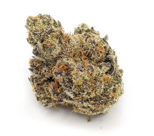 FLOWER: MIRACLE GLUE TOP SHELF 26%, S (0413)
