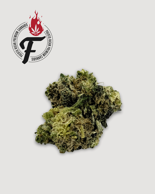Citrus Farmer - Hybrid - Fuego
