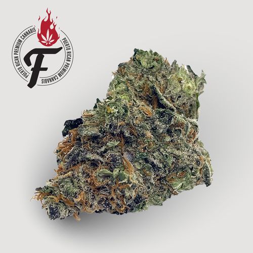 Concord Cream - Hybrid - Fuego