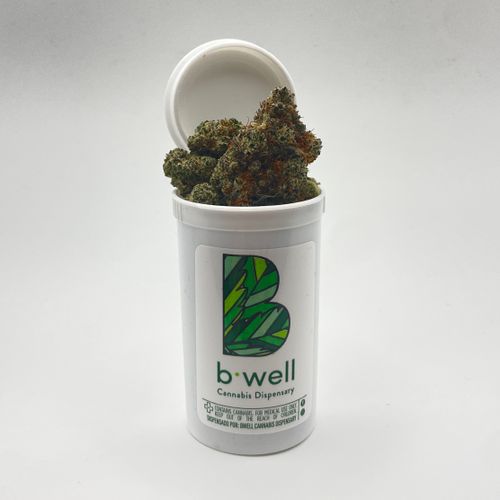 Royal Cake - Hybrid - Flower [GPR]