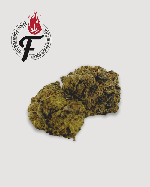 Zombie Man - Hybrid Indica - Fuego