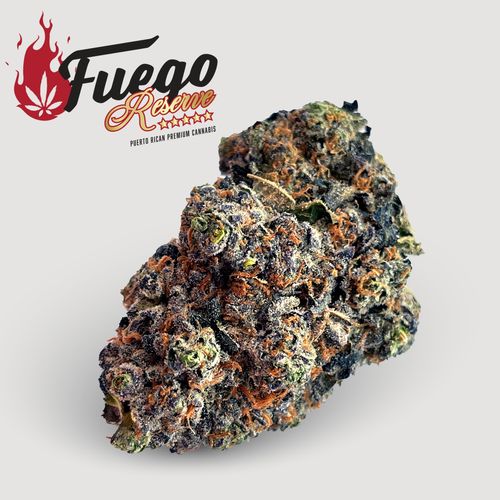 Bavarian Cream - Hybrid Indica - Fuego