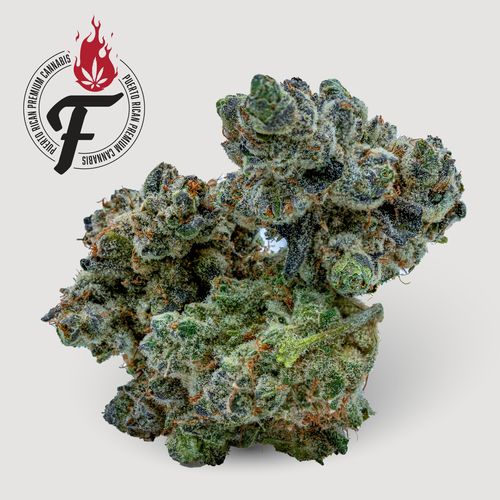 Wedding Crasher - Hybrid - Fuego