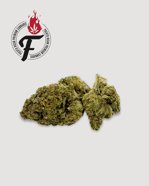 Voodoo Larry - Hybrid - Fuego