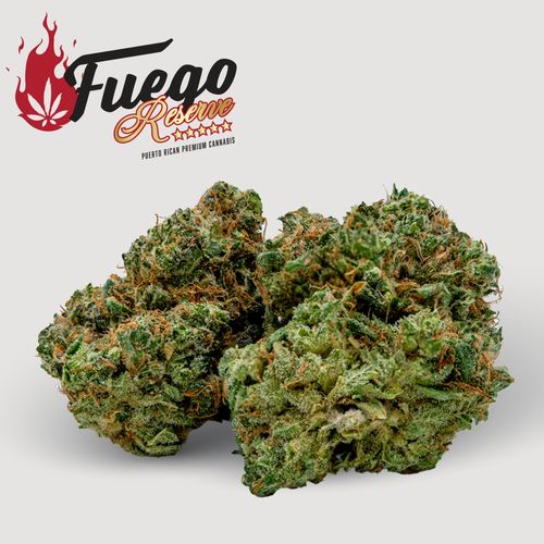 Lemon Royal - Hybrid Sativa - Fuego