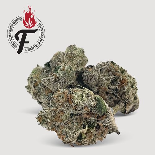 La Masa - Hybrid - Fuego