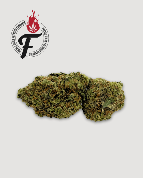 Pennywise #3 - Hybrid Indica - Fuego