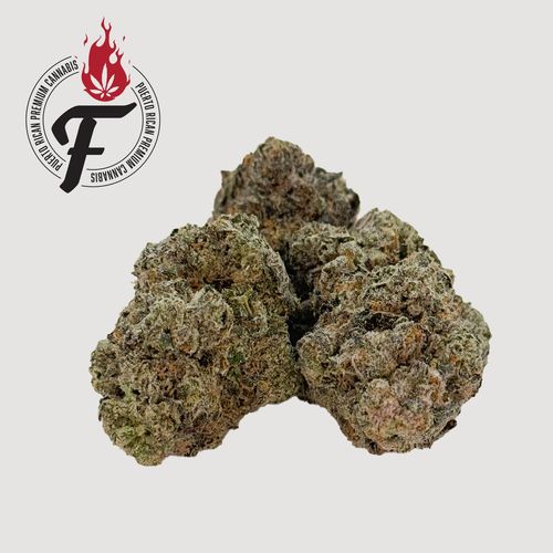 Tropical Thunder - Hybrid Sativa - Fuego