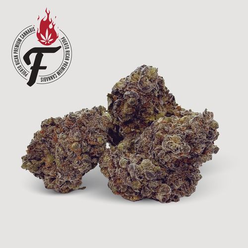 Purple Wreck - Hybrid Indica - Fuego