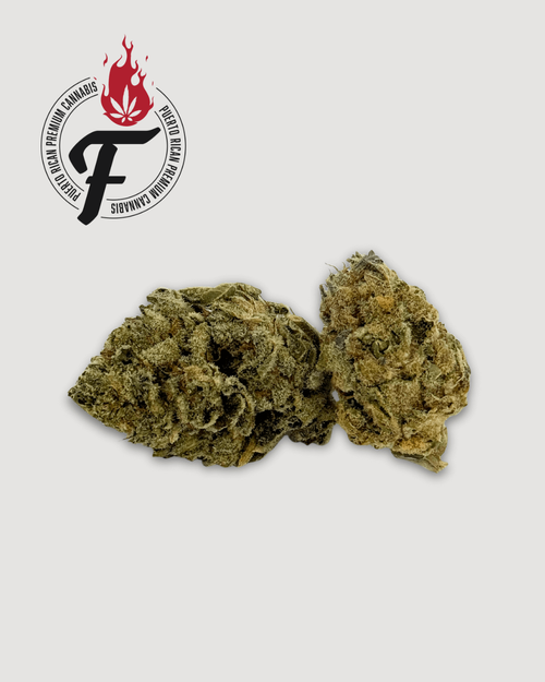 Hangover Haze - Hybrid Sativa - Fuego