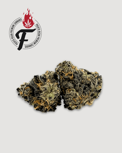 Do-Si-Dos Watermelon Skittlez - Hybrid - Fuego