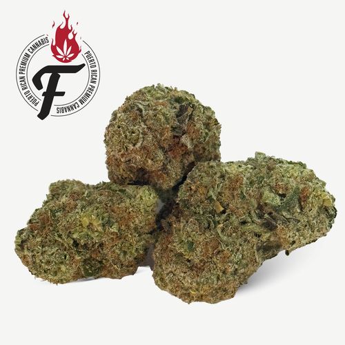 LSD - Hybrid - Fuego