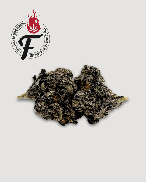 Purple Blondie - Hybrid Sativa - Fuego