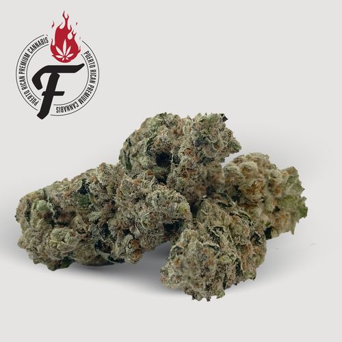 Channel #2 - Hybrid - Fuego