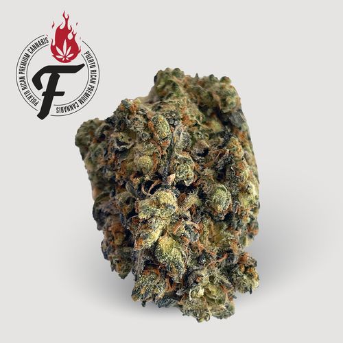 Cinderella Haze - Hybrid - Fuego