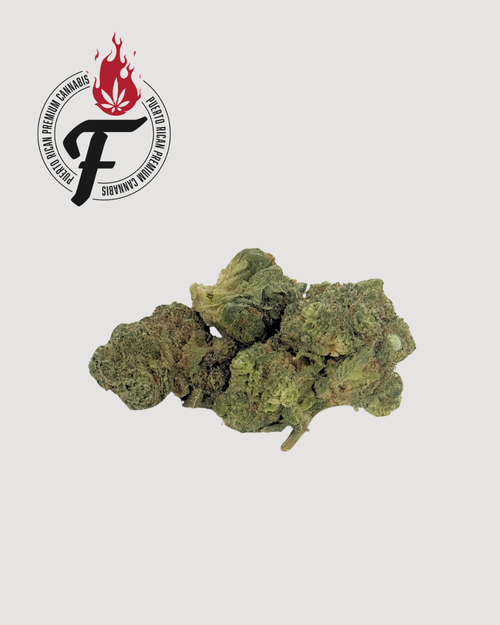 Lemonade x Sherbet - Hybrid Sativa - Fuego