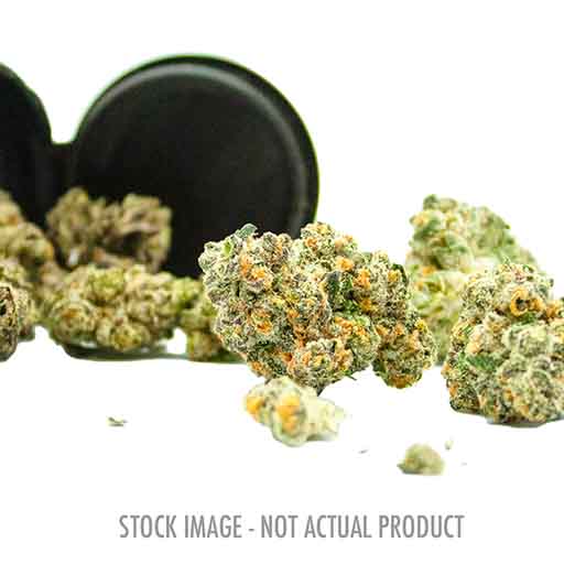 weed cigarette rolling supplies in fraser co Strawberry Amnesia PR Sativa 10x0.5g Cannabis Product: Lowest Price Cigarette Rolling Machine With Sealing