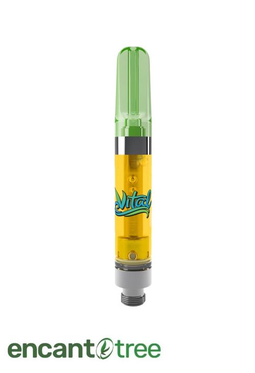 [VITAL] MELON STOMPER 1000MG