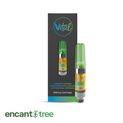 [VITAL] SPIDER MONSTER (H) 84.01%