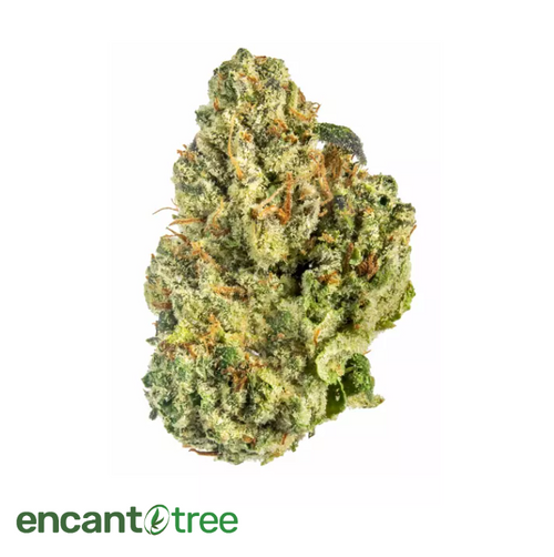 [VITAL] BUBBA WOOKIE FLOWER 