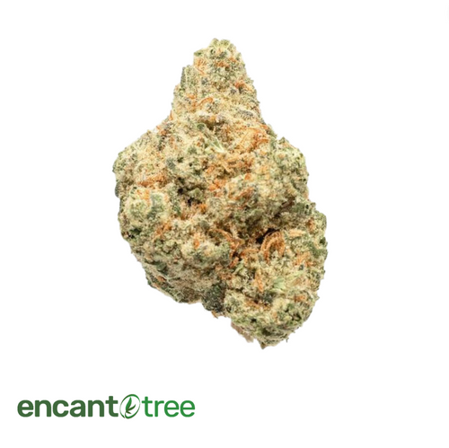 [VITAL] WHITE 99 FLOWER