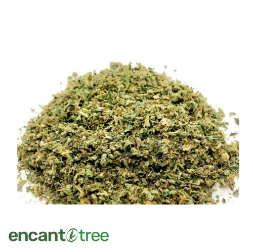 [VITAL] BLACK DOG SHAKE