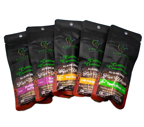 The Strain App - Dashboard