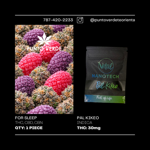 Nanotech Gummie 30mg Pal Kikeo Blue Razz