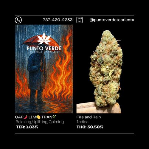 BB BUDS Fire and Rain