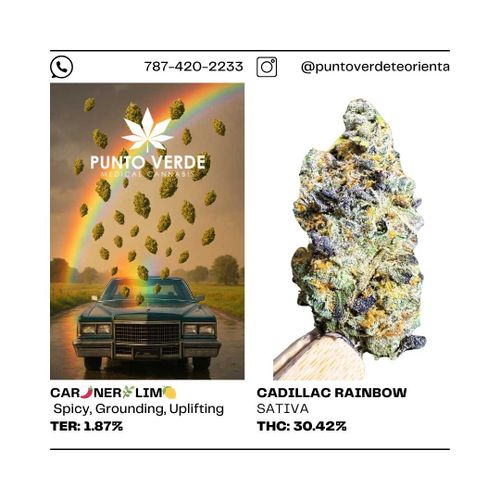 Cadillac Rainbow SATIVA 35.65%