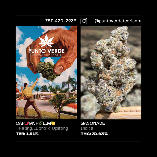 Gasonade INDICA 31.93%