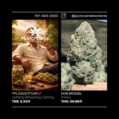 Don Migue INDICA 30.86%