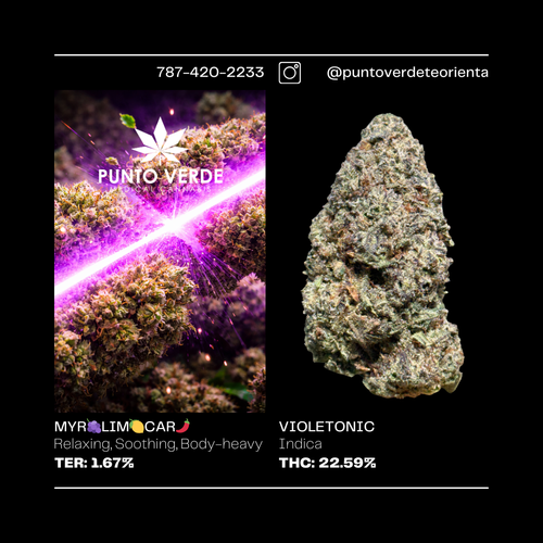 Indica 22.59%