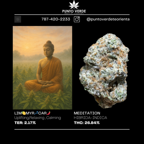 Meditation Flower