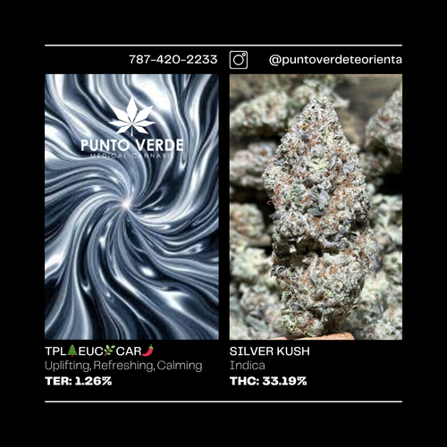 OG INDICA 33.19%