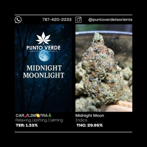 Moonlight INDICA 29.95%