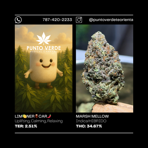SATIVA 25.21%