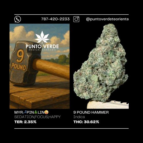 9 Pound Hammer INDICA 30.62%
