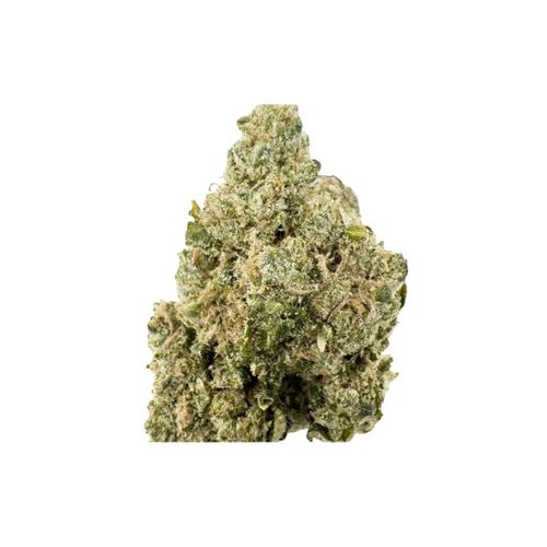 Hybrid - Fuego