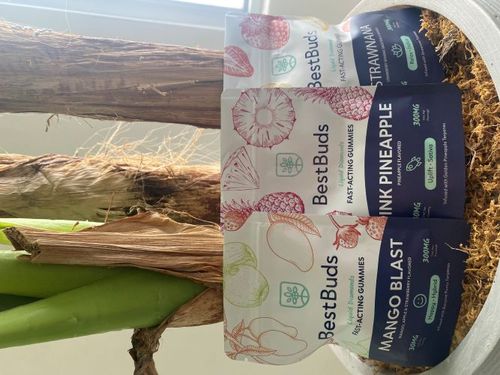 Pack 500mg Pink Pineapple