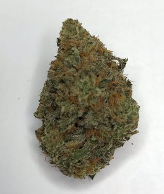 BLUEBERRY MUFFIN FLOWER