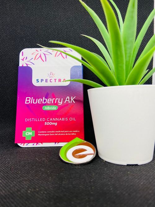 SPECTRA BLUEBERRY AK VAPE OIL 500ML