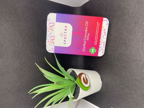 SPECTRA PINEAPPLE EXPRESS VAPE OIL 500ML