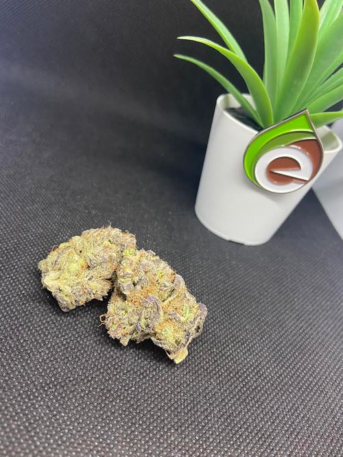 ELECTRIC LEMON G FLOWER