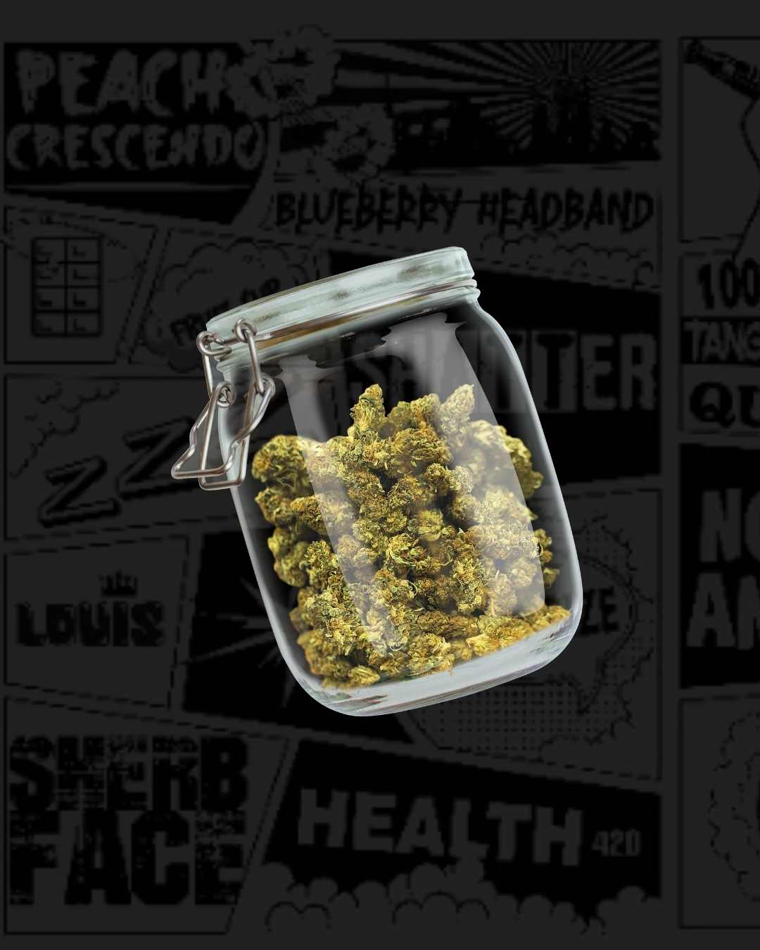 Diamond Select Tortu Gas