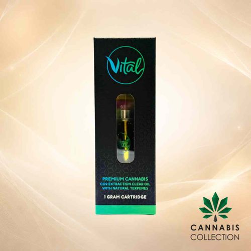 (Vital) 40 Years 1g Cart