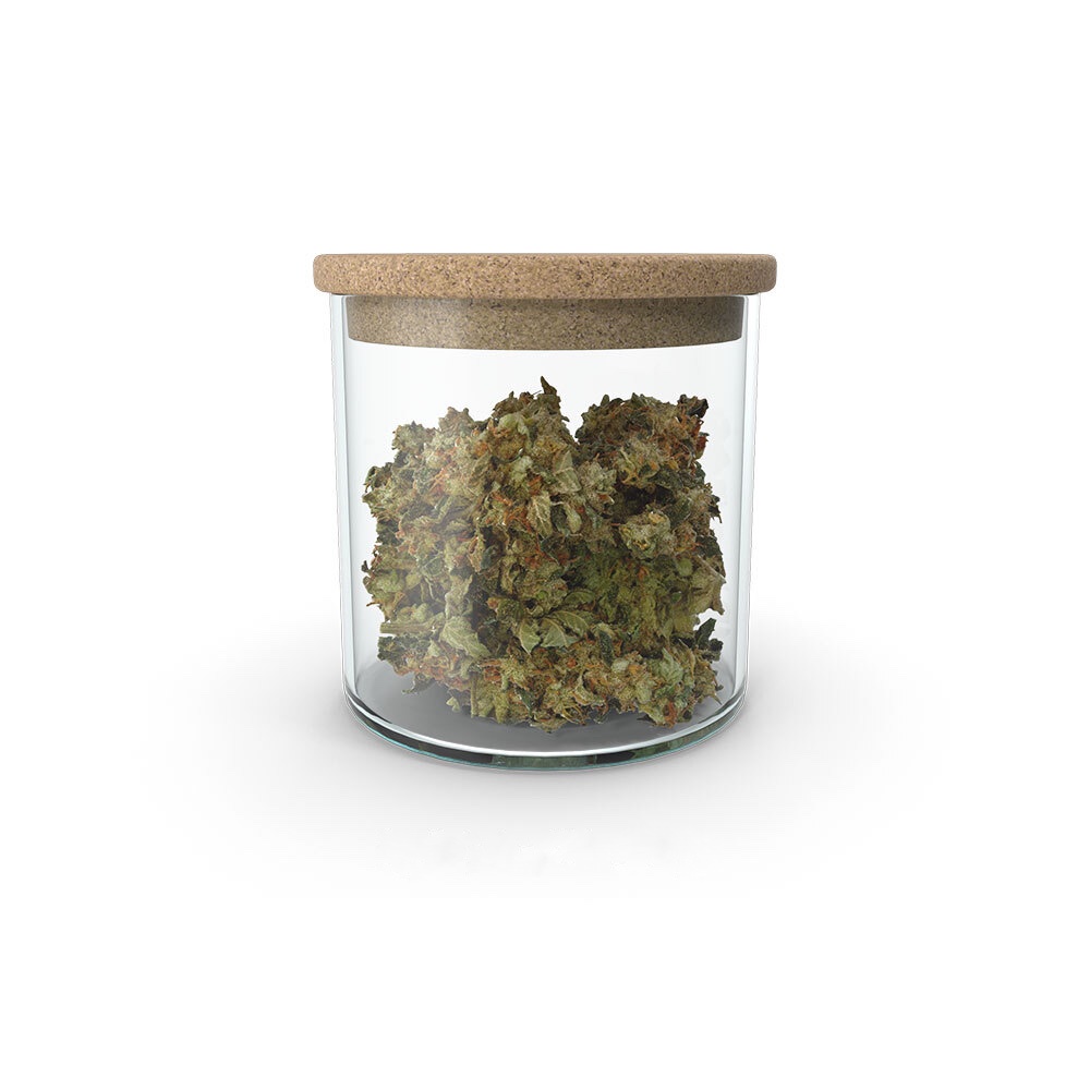 GARLIC BREATH REGULAR FLOWER