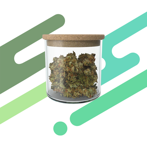 Black Maple 22 (CGL)